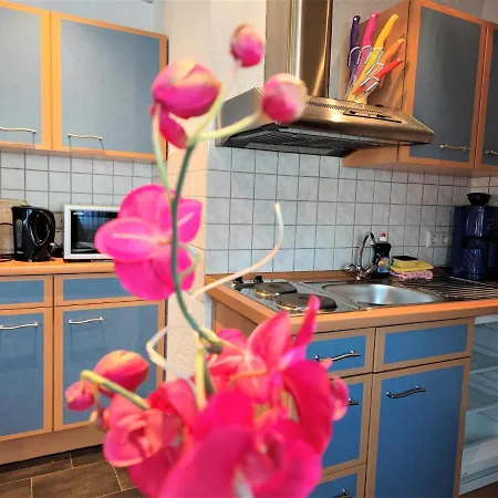 Apartment Ferienwohnung Kutscherstübchen&MeineCardPLUS Willingen (Upland)